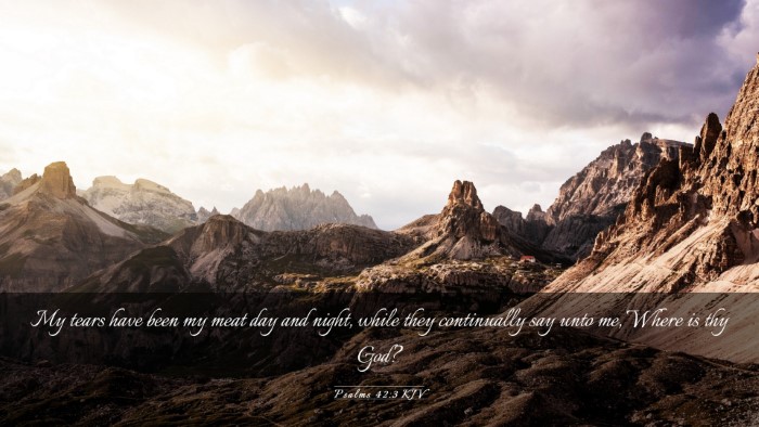 Picture 03 - Psalms 42:3 KJV Desktop Wallpaper - My tears have been my meat day and night, while - Desktop Bible Verse Wallpaper