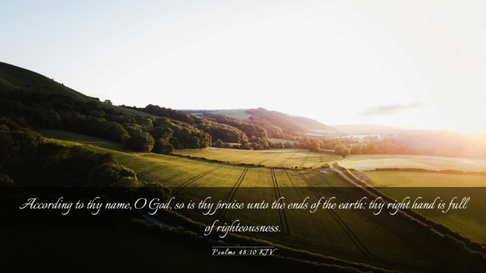 Picture 03 - Psalms 48:10 KJV Desktop Wallpaper - According to thy name, O God, so is thy praise - Desktop Bible Verse Wallpaper