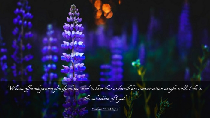 Picture 03 - Psalms 50:23 KJV Desktop Wallpaper - Whoso offereth praise glorifieth me: and to him - Desktop Bible Verse Wallpaper