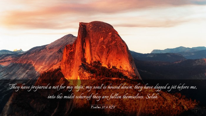 Picture 03 - Psalms 57:6 KJV Desktop Wallpaper - They have prepared a net for my steps; my soul is - Desktop Bible Verse Wallpaper