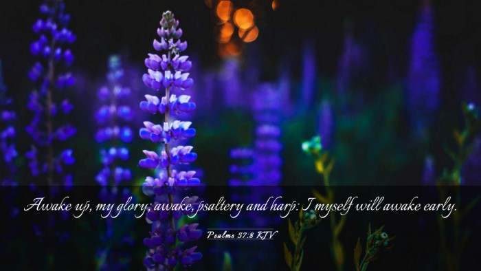 Picture 03 - Psalms 57:8 KJV Desktop Wallpaper - Awake up, my glory; awake, psaltery and harp: I - Desktop Bible Verse Wallpaper