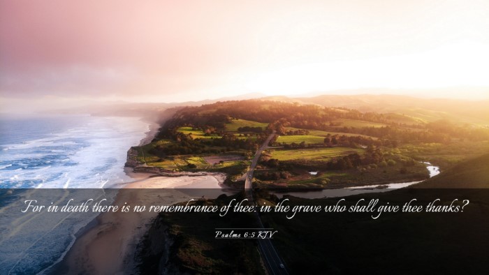 Picture 03 - Psalms 6:5 KJV Desktop Wallpaper - For in death there is no remembrance of thee: in - Desktop Bible Verse Wallpaper