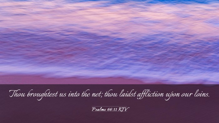 Picture 03 - Psalms 66:11 KJV Desktop Wallpaper - Thou broughtest us into the net; thou laidst - Desktop Bible Verse Wallpaper