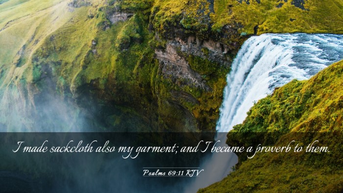 Picture 03 - Psalms 69:11 KJV Desktop Wallpaper - I made sackcloth also my garment; and I became a - Desktop Bible Verse Wallpaper