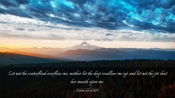 Picture 03 - Psalms 69:15 KJV Desktop Wallpaper - Let not the waterflood overflow me, neither let - Desktop Bible Verse Wallpaper