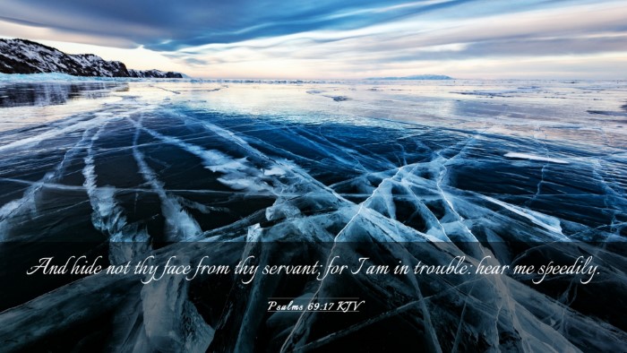 Picture 03 - Psalms 69:17 KJV Desktop Wallpaper - And hide not thy face from thy servant; for I am - Desktop Bible Verse Wallpaper