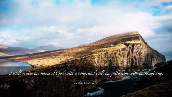 Picture 03 - Psalms 69:30 KJV Desktop Wallpaper - I will praise the name of God with a song, and - Desktop Bible Verse Wallpaper