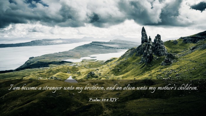 Picture 03 - Psalms 69:8 KJV Desktop Wallpaper - I am become a stranger unto my brethren, and an - Desktop Bible Verse Wallpaper