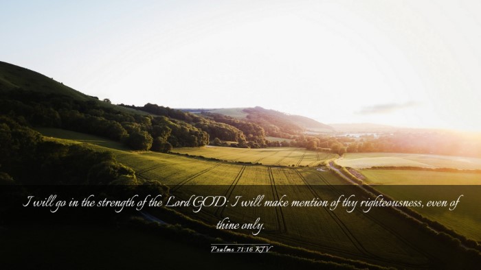 Picture 03 - Psalms 71:16 KJV Desktop Wallpaper - I will go in the strength of the Lord GOD: I will - Desktop Bible Verse Wallpaper