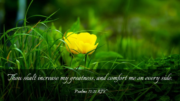 Picture 03 - Psalms 71:21 KJV Desktop Wallpaper - Thou shalt increase my greatness, and comfort me - Desktop Bible Verse Wallpaper
