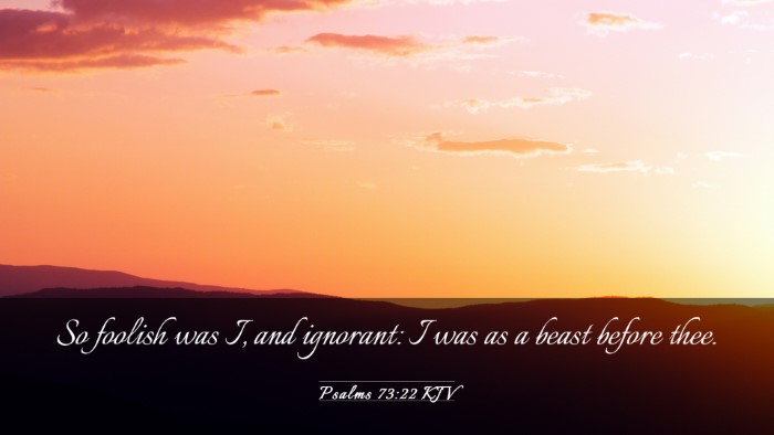 Picture 03 - Psalms 73:22 KJV Desktop Wallpaper - So foolish was I, and ignorant: I was as a beast - Desktop Bible Verse Wallpaper