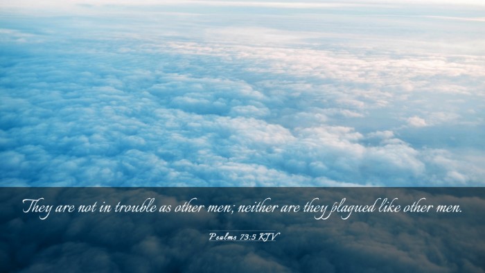 Picture 03 - Psalms 73:5 KJV Desktop Wallpaper - They are not in trouble as other men; neither are - Desktop Bible Verse Wallpaper