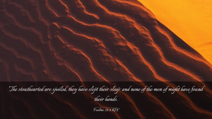 Picture 03 - Psalms 76:5 KJV Desktop Wallpaper - The stouthearted are spoiled, they have slept - Desktop Bible Verse Wallpaper