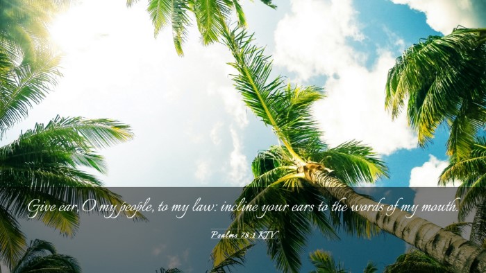 Picture 03 - Psalms 78:1 KJV Desktop Wallpaper - Give ear, O my people, to my law: incline your - Desktop Bible Verse Wallpaper