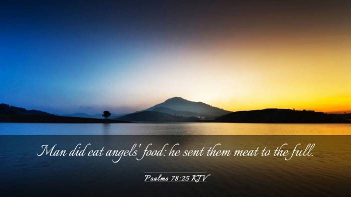 Picture 03 - Psalms 78:25 KJV Desktop Wallpaper - Man did eat angels' food: he sent them meat to - Desktop Bible Verse Wallpaper