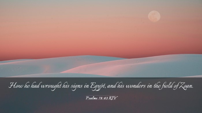 Picture 03 - Psalms 78:43 KJV Desktop Wallpaper - How he had wrought his signs in Egypt, and his - Desktop Bible Verse Wallpaper