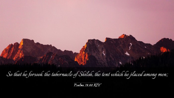 Picture 03 - Psalms 78:60 KJV Desktop Wallpaper - So that he forsook the tabernacle of Shiloh, the - Desktop Bible Verse Wallpaper