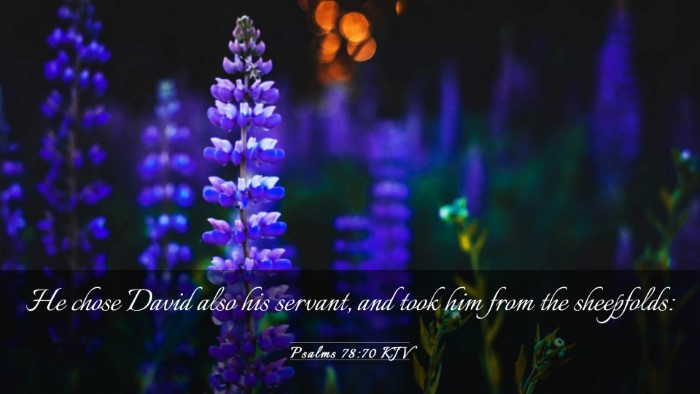 Picture 03 - Psalms 78:70 KJV Desktop Wallpaper - He chose David also his servant, and took him - Desktop Bible Verse Wallpaper