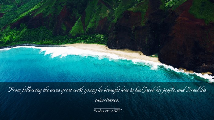Picture 03 - Psalms 78:71 KJV Desktop Wallpaper - From following the ewes great with young he - Desktop Bible Verse Wallpaper