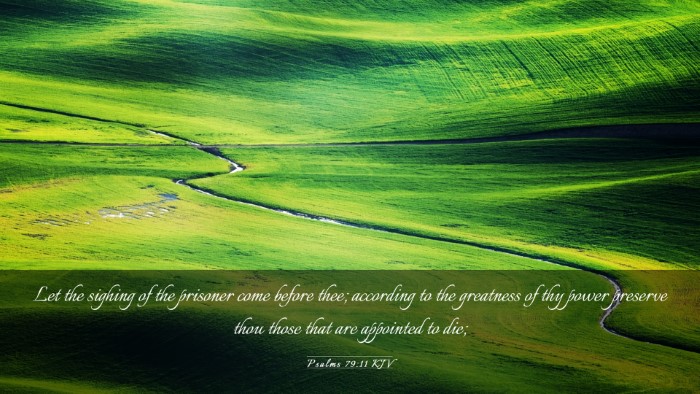 Picture 03 - Psalms 79:11 KJV Desktop Wallpaper - Let the sighing of the prisoner come before thee; - Desktop Bible Verse Wallpaper