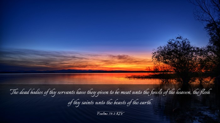 Picture 03 - Psalms 79:2 KJV Desktop Wallpaper - The dead bodies of thy servants have they given - Desktop Bible Verse Wallpaper