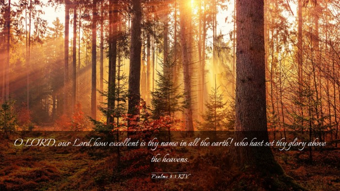 Picture 03 - Psalms 8:1 KJV Desktop Wallpaper - O LORD, our Lord, how excellent is thy name in - Desktop Bible Verse Wallpaper