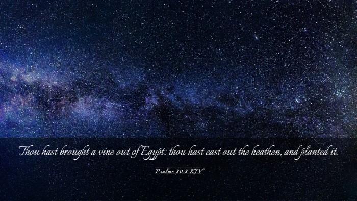Picture 03 - Psalms 80:8 KJV Desktop Wallpaper - Thou hast brought a vine out of Egypt: thou hast - Desktop Bible Verse Wallpaper