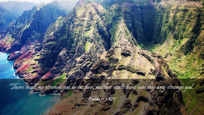Picture 03 - Psalms 81:9 KJV Desktop Wallpaper - There shall no strange god be in thee; neither - Desktop Bible Verse Wallpaper