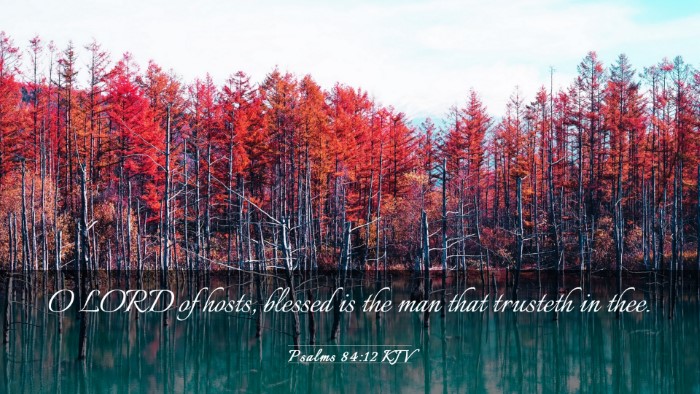 Picture 03 - Psalms 84:12 KJV Desktop Wallpaper - O LORD of hosts, blessed is the man that trusteth - Desktop Bible Verse Wallpaper