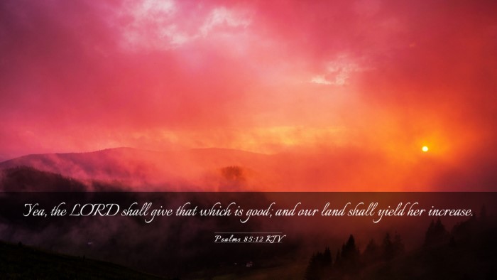 Picture 03 - Psalms 85:12 KJV Desktop Wallpaper - Yea, the LORD shall give that which is good; and - Desktop Bible Verse Wallpaper