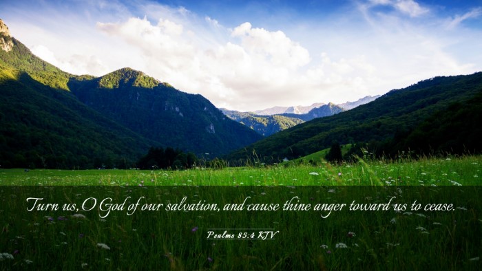Picture 03 - Psalms 85:4 KJV Desktop Wallpaper - Turn us, O God of our salvation, and cause thine - Desktop Bible Verse Wallpaper