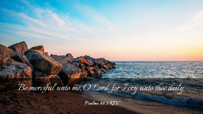 Picture 03 - Psalms 86:3 KJV Desktop Wallpaper - Be merciful unto me, O Lord: for I cry unto thee - Desktop Bible Verse Wallpaper