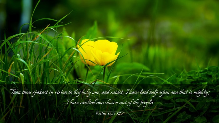Picture 03 - Psalms 89:19 KJV Desktop Wallpaper - Then thou spakest in vision to thy holy one, and - Desktop Bible Verse Wallpaper