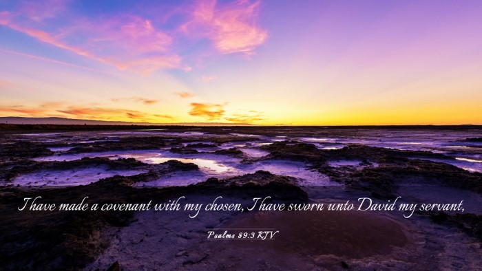 Picture 03 - Psalms 89:3 KJV Desktop Wallpaper - I have made a covenant with my chosen, I have - Desktop Bible Verse Wallpaper