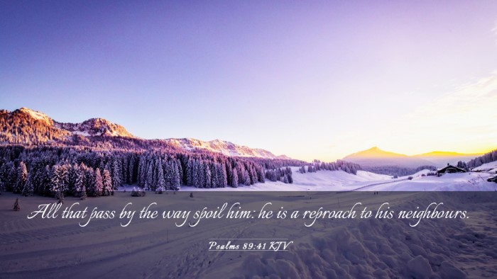 Picture 03 - Psalms 89:41 KJV Desktop Wallpaper - All that pass by the way spoil him: he is a - Desktop Bible Verse Wallpaper