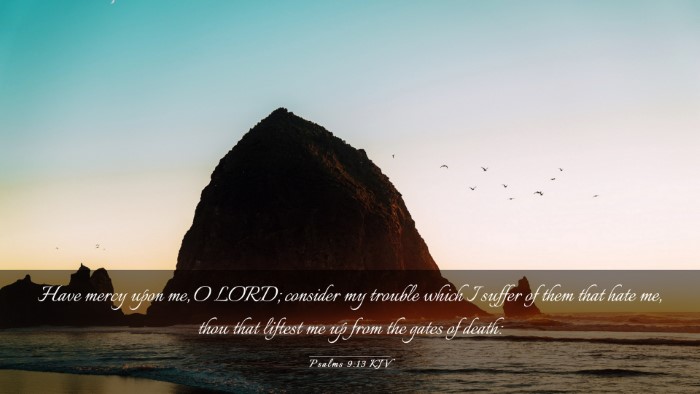 Picture 03 - Psalms 9:13 KJV Desktop Wallpaper - Have mercy upon me, O LORD; consider my trouble - Desktop Bible Verse Wallpaper