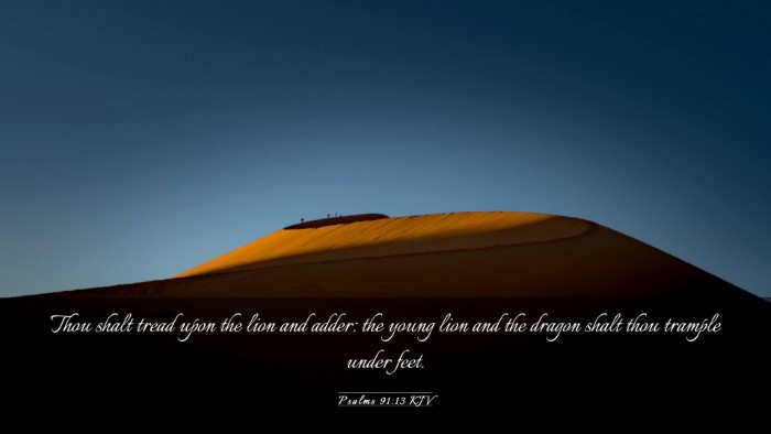 Picture 03 - Psalms 91:13 KJV Desktop Wallpaper - Thou shalt tread upon the lion and adder: the - Desktop Bible Verse Wallpaper