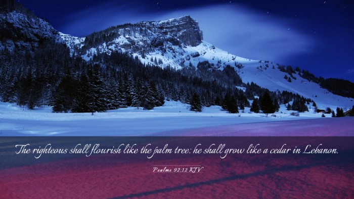 Picture 03 - Psalms 92:12 KJV Desktop Wallpaper - The righteous shall flourish like the palm tree: - Desktop Bible Verse Wallpaper