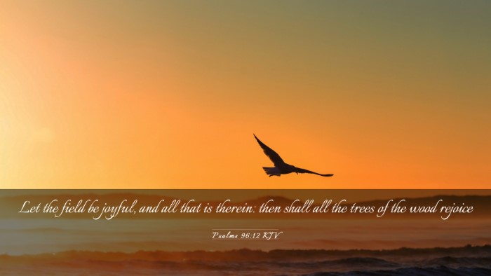 Picture 03 - Psalms 96:12 KJV Desktop Wallpaper - Let the field be joyful, and all that is therein: - Desktop Bible Verse Wallpaper