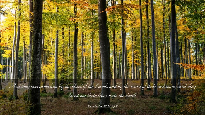Picture 03 - Revelation 12:11 KJV Desktop Wallpaper - And they overcame him by the blood of the Lamb, - Desktop Bible Verse Wallpaper