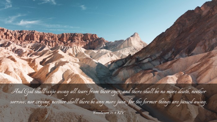Picture 03 - Revelation 21:4 KJV Desktop Wallpaper - And God shall wipe away all tears from their - Desktop Bible Verse Wallpaper