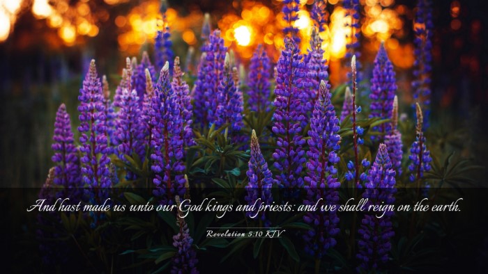 Picture 03 - Revelation 5:10 KJV Desktop Wallpaper - And hast made us unto our God kings and priests: - Desktop Bible Verse Wallpaper