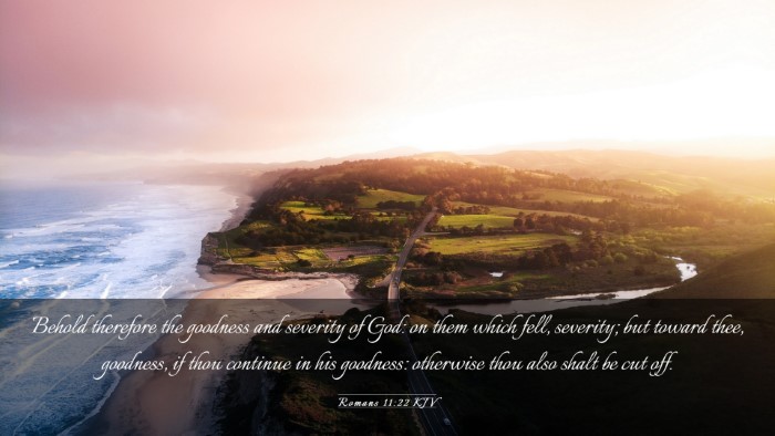 Picture 03 - Romans 11:22 KJV Desktop Wallpaper - Behold therefore the goodness and severity of - Desktop Bible Verse Wallpaper