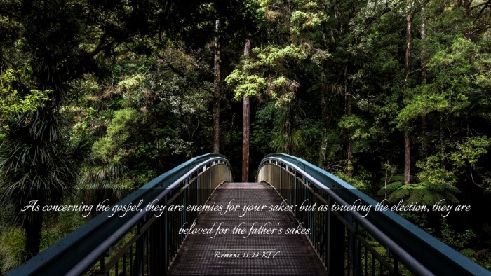 Picture 03 - Romans 11:28 KJV Desktop Wallpaper - As concerning the gospel, they are enemies for - Desktop Bible Verse Wallpaper