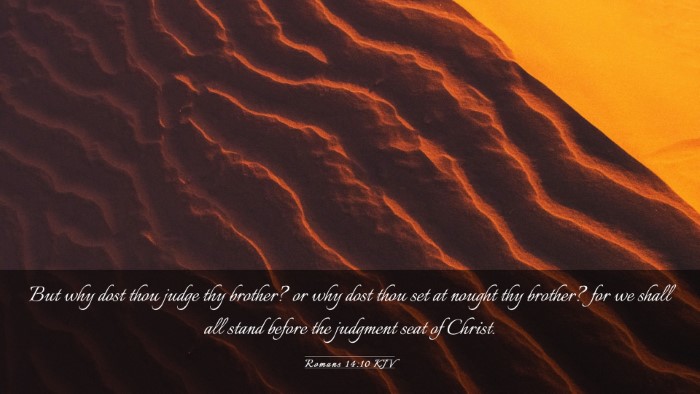 Picture 03 - Romans 14:10 KJV Desktop Wallpaper - But why dost thou judge thy brother? or why dost - Desktop Bible Verse Wallpaper