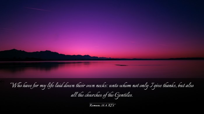 Picture 03 - Romans 16:4 KJV Desktop Wallpaper - Who have for my life laid down their own necks: - Desktop Bible Verse Wallpaper