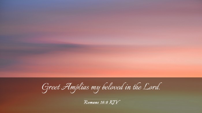 Picture 03 - Romans 16:8 KJV Desktop Wallpaper - Greet Amplias my beloved in the - Desktop Bible Verse Wallpaper