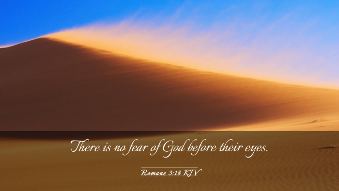 Picture 03 - Romans 3:18 KJV Desktop Wallpaper - There is no fear of God before their - Desktop Bible Verse Wallpaper