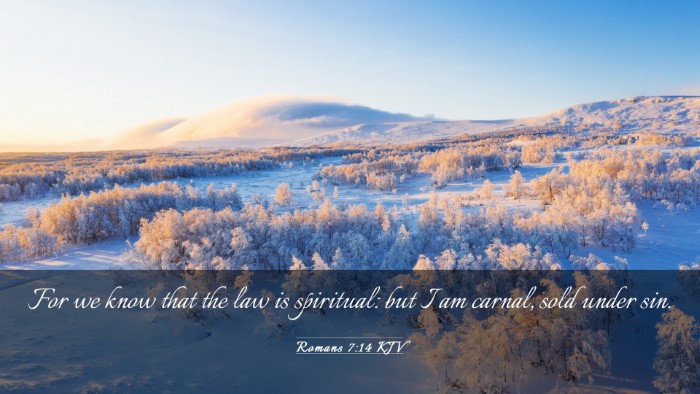 Picture 03 - Romans 7:14 KJV Desktop Wallpaper - For we know that the law is spiritual: but I am - Desktop Bible Verse Wallpaper