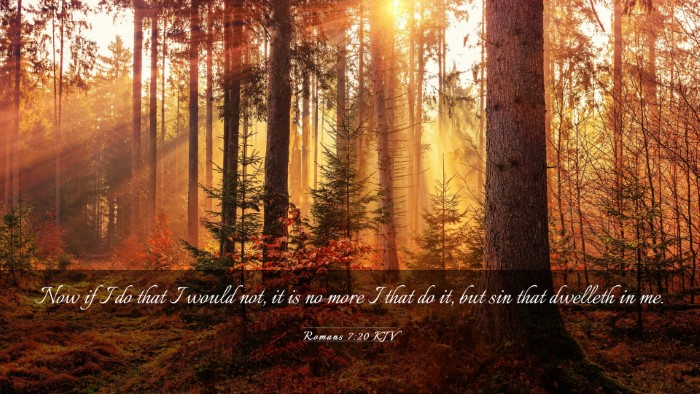 Picture 03 - Romans 7:20 KJV Desktop Wallpaper - Now if I do that I would not, it is no more I - Desktop Bible Verse Wallpaper